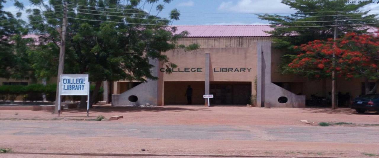 Federal College of Education (FCE), Katsina Post UTME Form